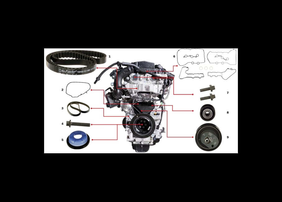 PureTech 1.2 wet belt kit